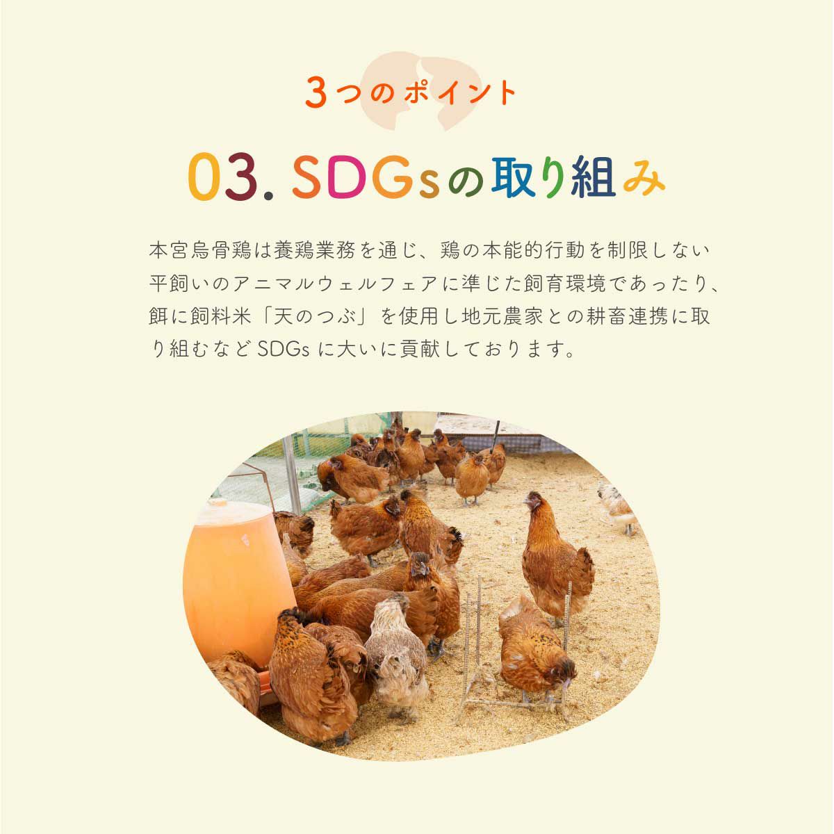 福島県産 平飼い 本宮烏骨鶏 卵 25個入り 特長4