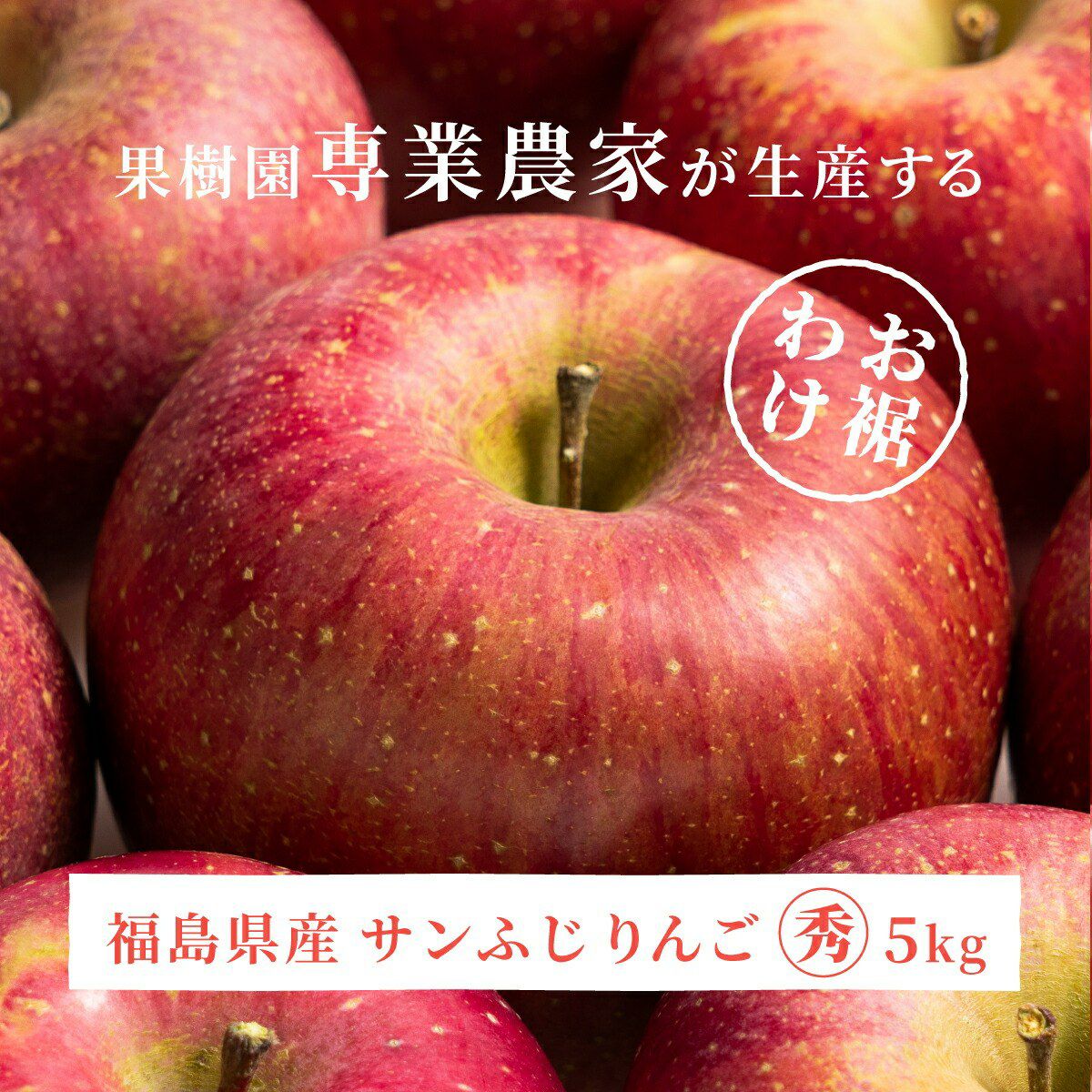 りんご サンふじ 秀 5kg 12~16玉 福島県産 TOP