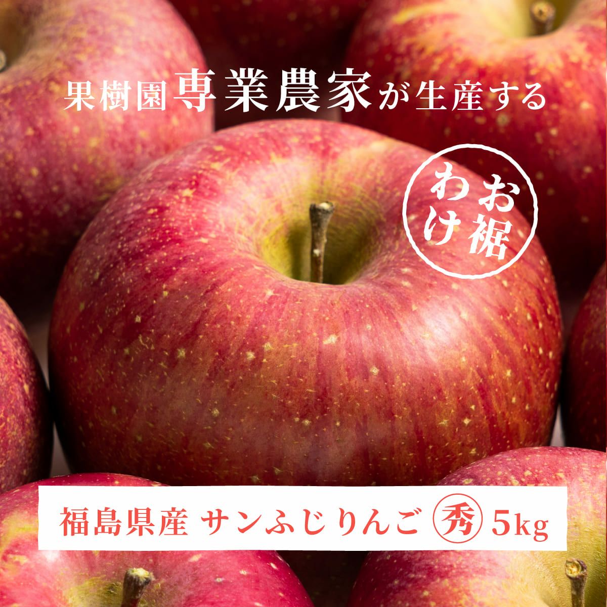 りんご サンふじ 秀 5kg 18～20玉 福島県産 TOP